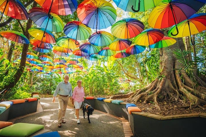 Sunshine Coast Hinterland Private Day Tour: Ginger Factory, Montville & Rainforest Lookouts