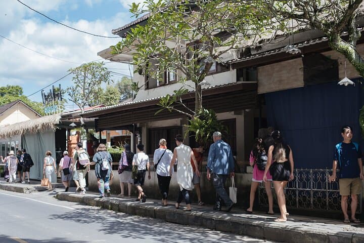 Ubud Guided Walking Tour: 3-Hour Cultural Walk Through Temples, Palaces & Art photo 5