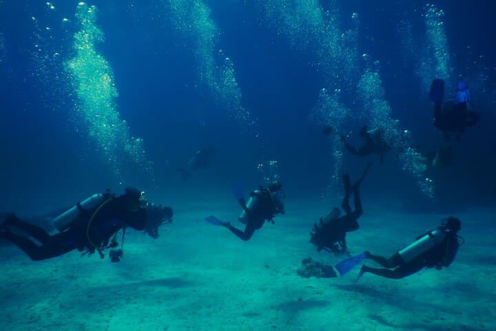 SSI Open Water Diver Course — 3-Day Catalina Islands Certification in Costa Rica