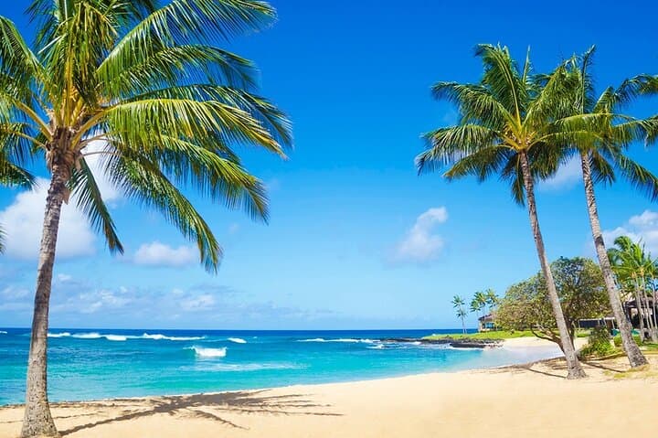 Unleash the Thrill: Buggy Adventure Across Dominican Paradise photo 3
