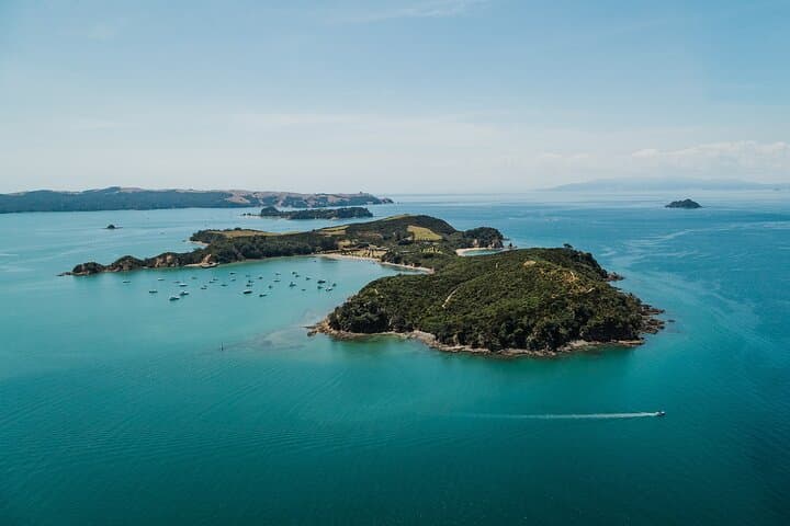 Rotoroa Island Ferry from Auckland: Day Trip to a Predator-Free Sanctuary photo 1