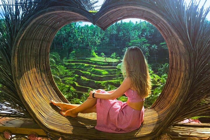 Private Bali Swing, Ubud Monkey Forest & Tegenungan Waterfall Tour