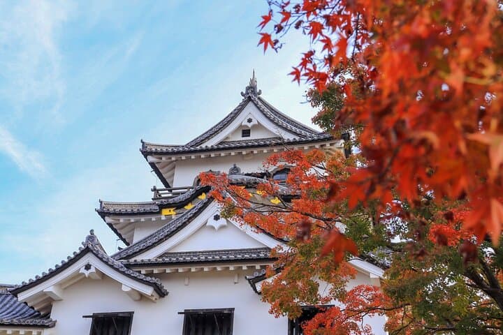 Day Trip to Hikone Castle from Osaka — Historic Castle Town, Genkyū-en Garden & Local Streets