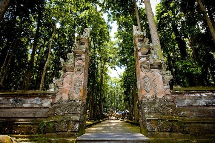Ubud Monkey Forest, Tegalalang Rice Terraces & Market — Private Day Tour photo 3