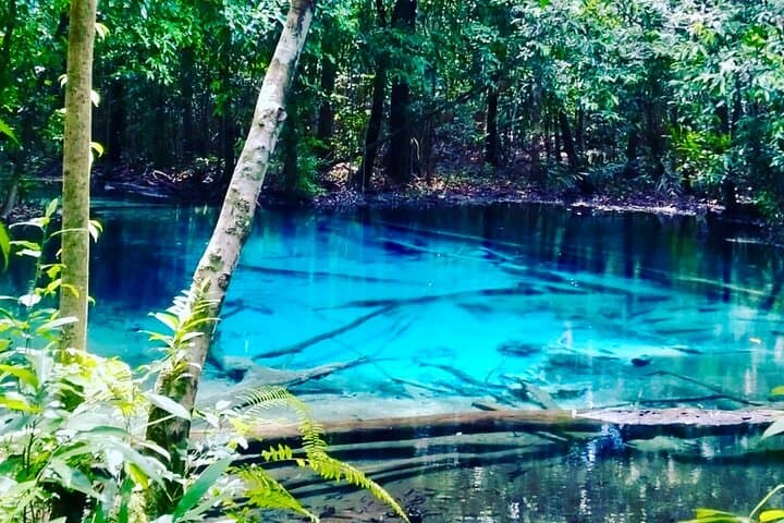Krabi Emerald Pool Private Jungle Tour — Swim the Blu Pool, Spa & Tiger Cave Temple
