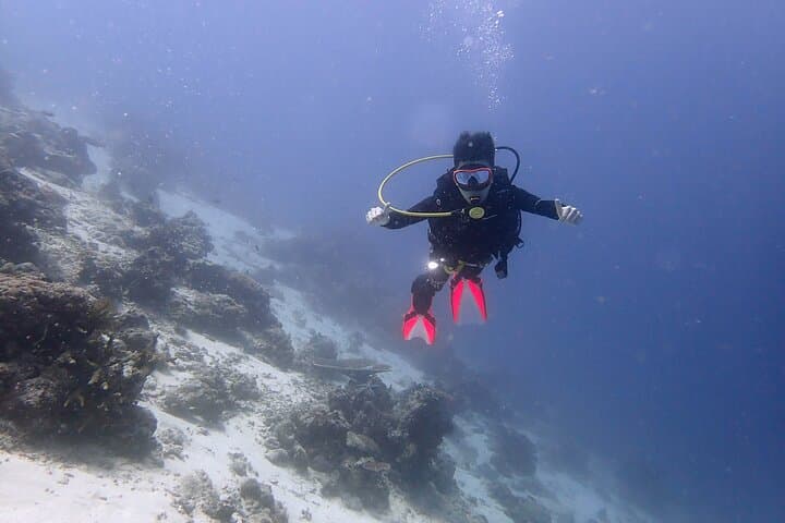 Mataking & Timba-Timba Day Dives: Turtles, Stingrays and a Shipwreck off Semporna photo 5