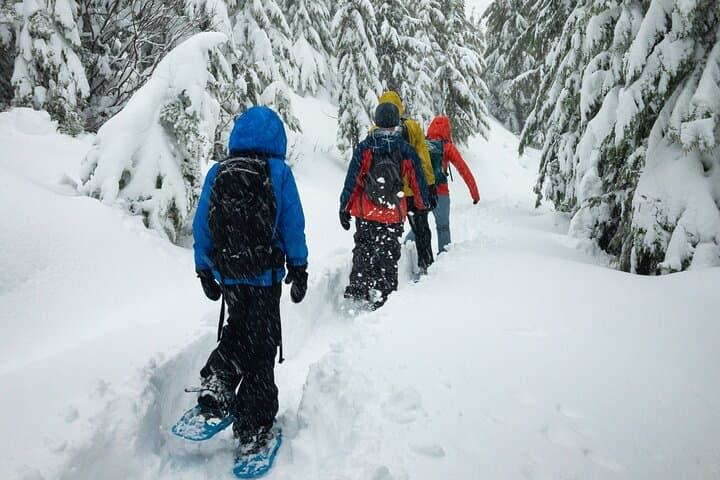 Arctic Snowshoeing with Wild Lunch near Rovaniemi photo 2