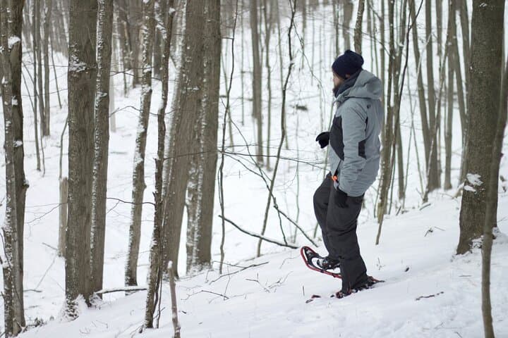 Arctic Snowshoeing with Wild Lunch near Rovaniemi photo 6