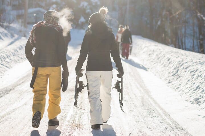 Arctic Snowshoeing with Wild Lunch near Rovaniemi photo 3