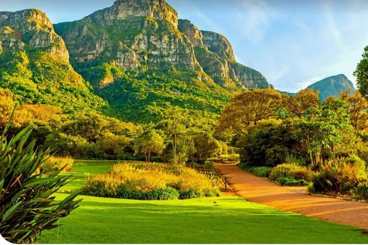 cape-town-table-mountain-kirstenbosch-and-world-of-birds-private-tour