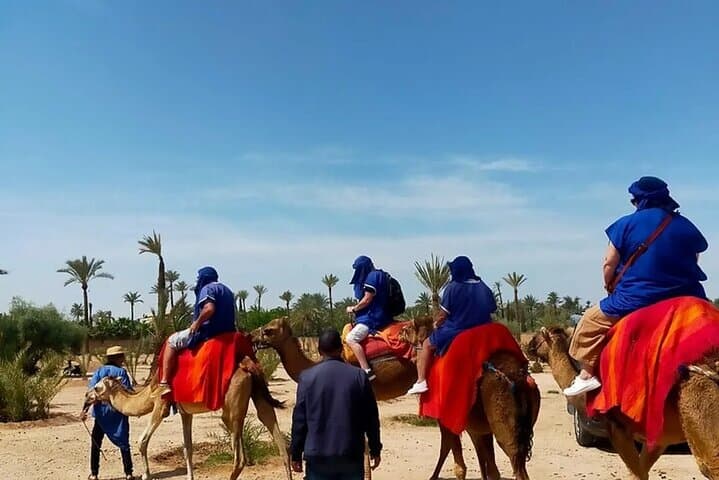 Full-Day Private Marrakech Sightseeing: Medina, Souks & Jemaa el-Fnaa photo 5