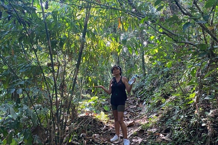 Bali Jungle and Rice-Field Walk: 3-Hour Tabanan Cultural Adventure