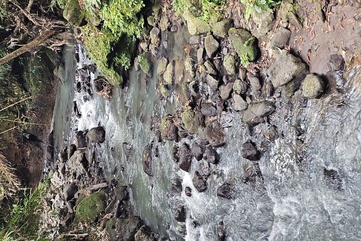 Bali Jungle and Rice-Field Walk: 3-Hour Tabanan Cultural Adventure photo 2
