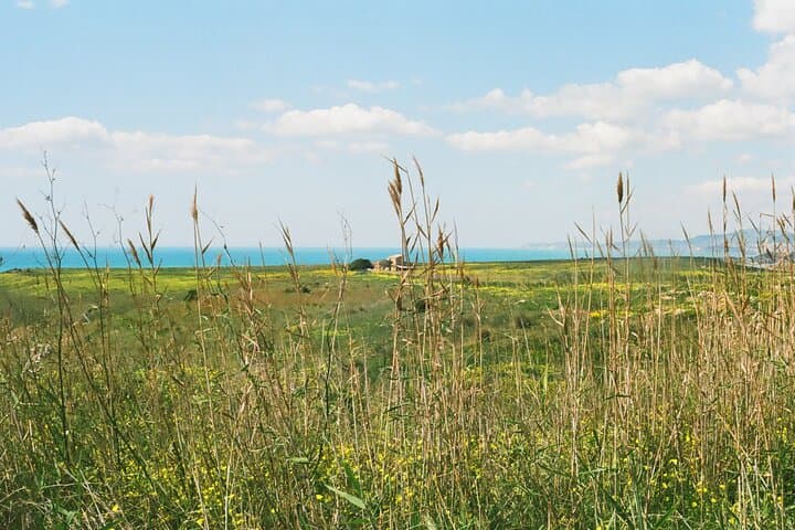 Private Agrigento Food & Hidden Gems Tour — Local Guide to Punta Bianca photo 4