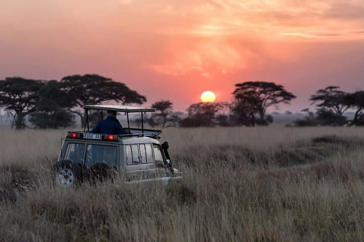 Spectacular Serengeti: 8-Day Safari to Serengeti & Ngorongoro