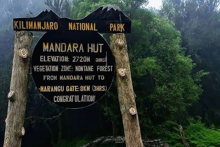 Day Hike to Mandara Hut on Mount Kilimanjaro — Marangu Route Guide