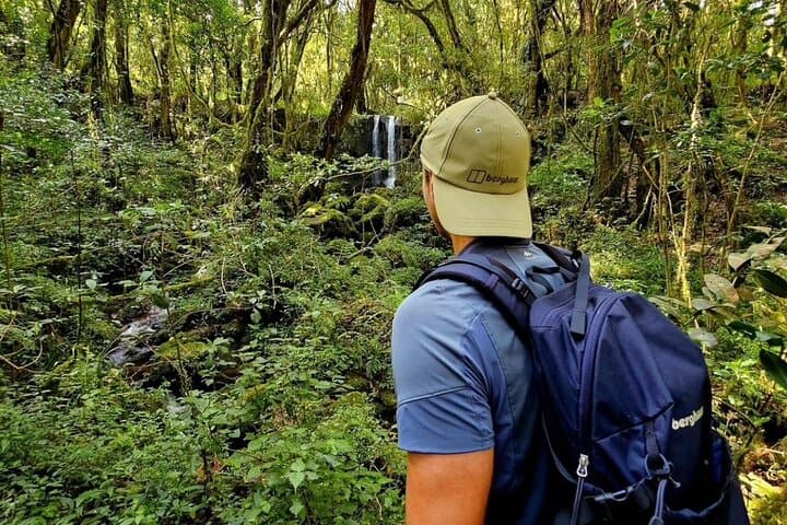 Day Hike to Mandara Hut on Mount Kilimanjaro — Marangu Route Guide photo 2