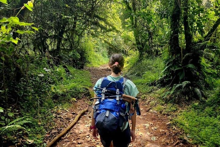 Day Hike to Mandara Hut on Mount Kilimanjaro — Marangu Route Guide photo 3