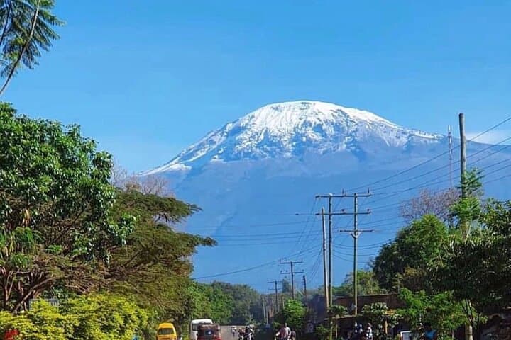 Day Hike to Mandara Hut on Mount Kilimanjaro — Marangu Route Guide photo 4