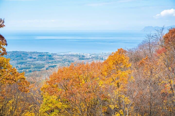 Hike Mt. Usu and Lake Toya: Small-Group Volcano Hike & Geopark Visit photo 6