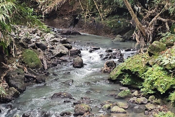 Bali Jungle and Rice-Field Walk: 3-Hour Tabanan Cultural Adventure photo 4