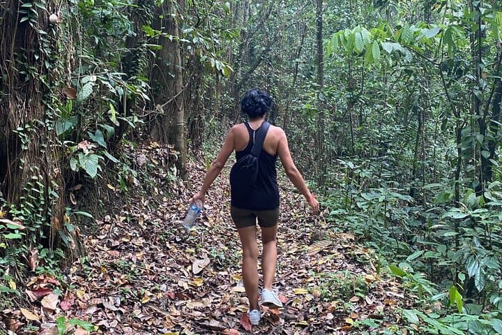 Bali Jungle and Rice-Field Walk: 3-Hour Tabanan Cultural Adventure photo 6