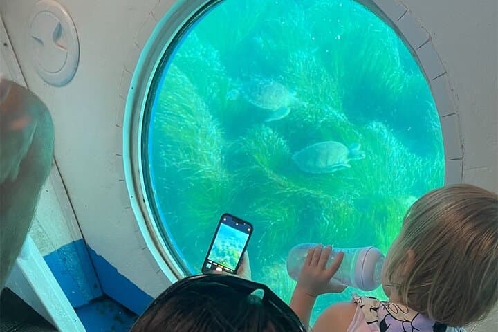 Paphos Turtle-Watching Cruise and Snorkelling Adventure