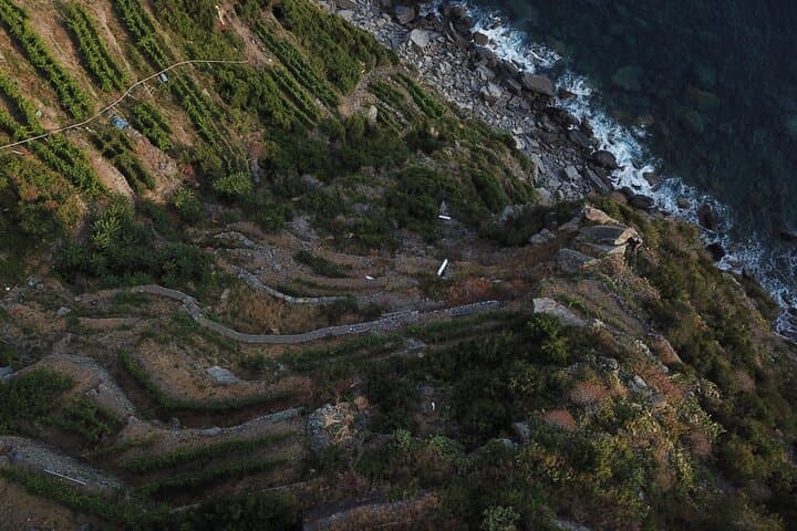 Cinque Terre Private Wine and Views Tour — Luxury Wine Tasting & Scenic Viewpoints photo 3