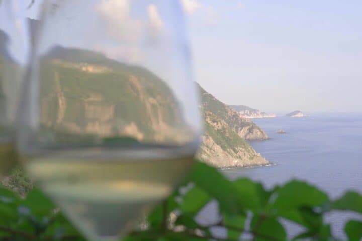 Cinque Terre Private Wine and Views Tour — Luxury Wine Tasting & Scenic Viewpoints photo 4