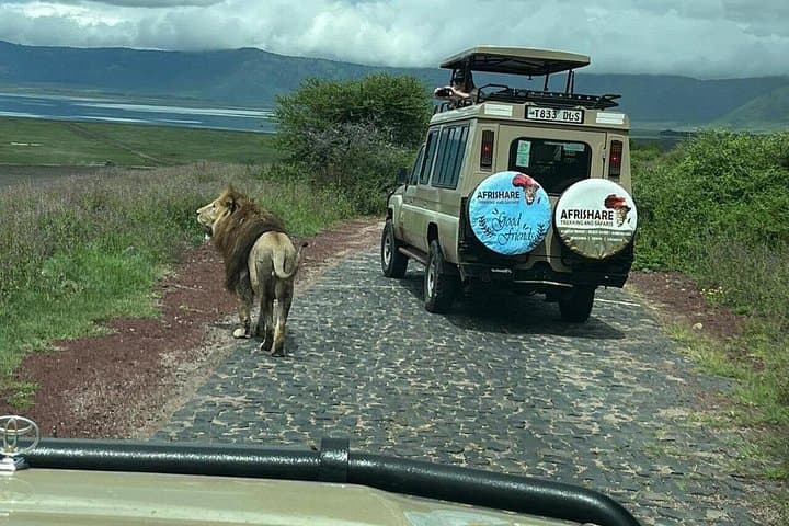 Two-Day Tarangire and Ngorongoro Crater Safari — Big Five Game Drives from Arusha photo 4