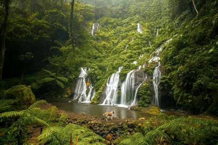 Ubud Jungle Trekking: Banyumala Twin Falls & Pucak Manik Full-Day Trek photo 2