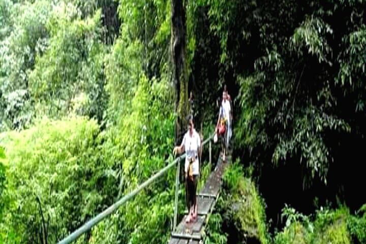 Ubud Jungle Trekking: Banyumala Twin Falls & Pucak Manik Full-Day Trek photo 4