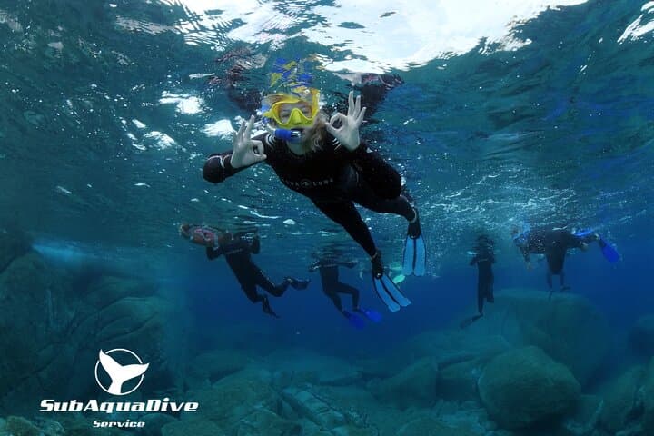 Snorkel Capo Carbonara: Cavoli & Serpentara Marine Protected Area Day Tour