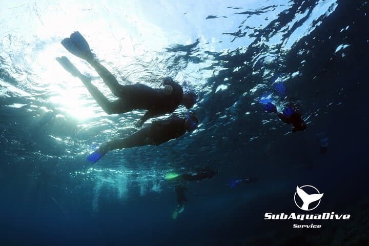 Snorkel Capo Carbonara: Cavoli & Serpentara Marine Protected Area Day Tour photo 5