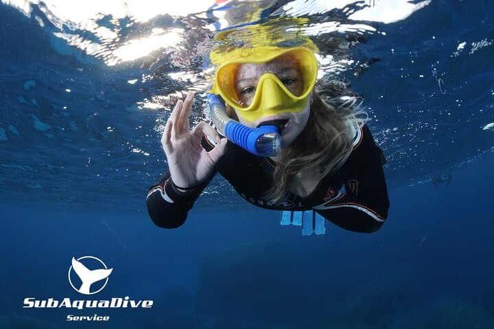 Snorkel Capo Carbonara: Cavoli & Serpentara Marine Protected Area Day Tour photo 3