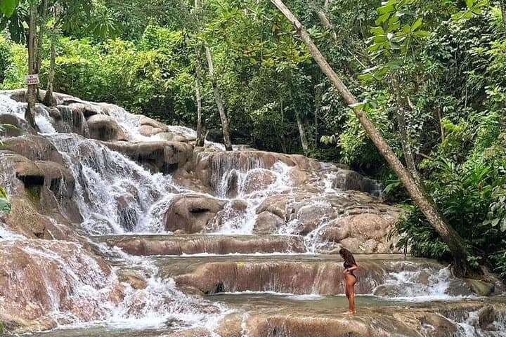 Private Dunn's River Falls & Blue Hole Day Trip from Montego Bay photo 4