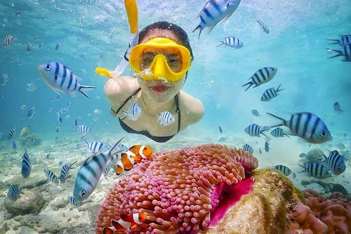 Nemo Island Snorkeling Cruise from Hurghada — Half‑Day Red Sea Reef Adventure photo 1