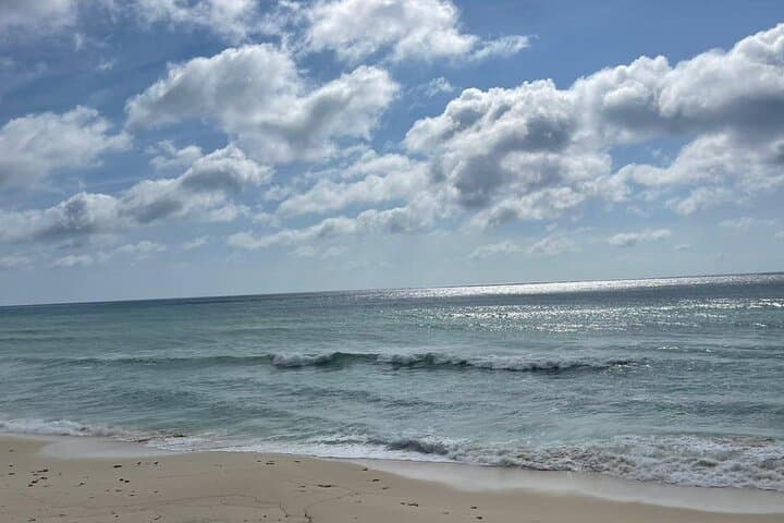 Cozumel Private Jeep & Snorkel VIP Tour — Mayan Ceremonies, Tequila & Beach Club photo 2