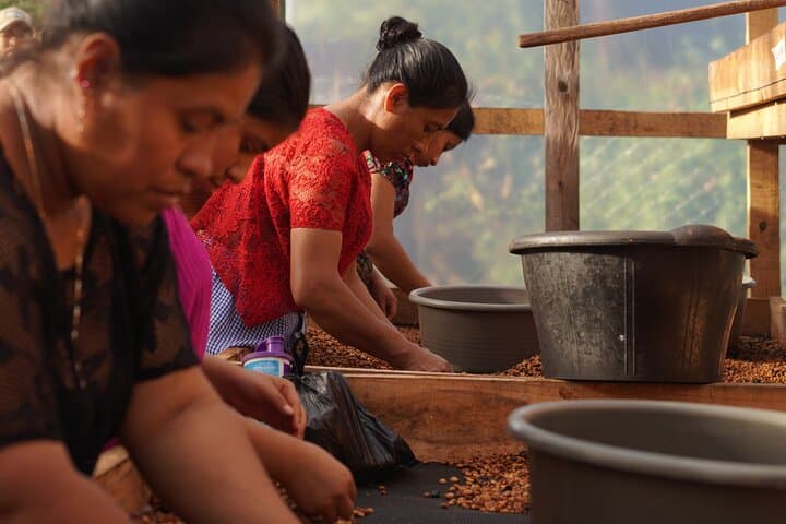 Cobán Coffee Plantation Tour with Mayan Q'eqchi' Hosts: Farm Visit & Tasting photo 6