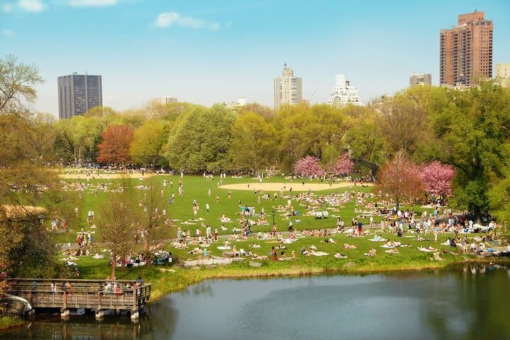 Solve the Central Park Heist: Self-Guided Outdoor Escape Adventure photo 3