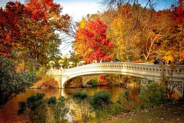 Solve the Central Park Heist: Self-Guided Outdoor Escape Adventure photo 5