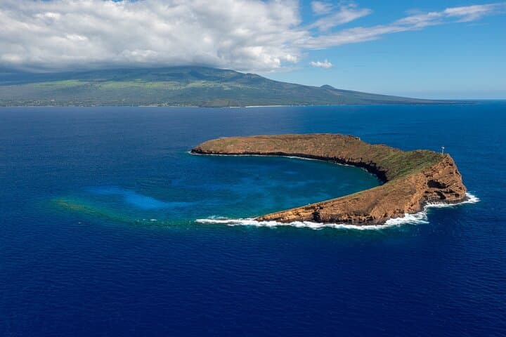 Molokini Luxury Snorkel Adventure from Maalaea on the Elua Catamaran photo 2