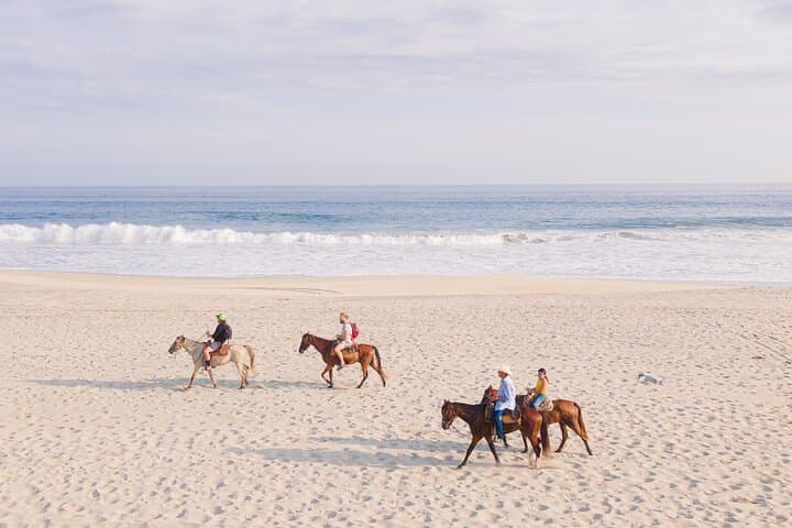 Puerto Escondido Horseback Riding on the Beach & Lagoon Crossing photo 3