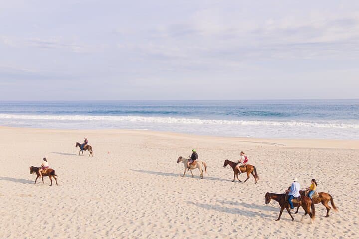 Puerto Escondido Horseback Riding on the Beach & Lagoon Crossing
