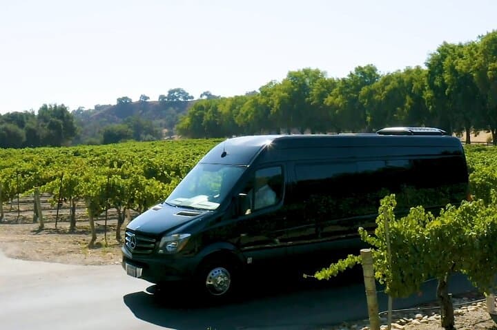 Private Santa Barbara Wine Tasting Tour with Picnic and Private Tastings photo 5