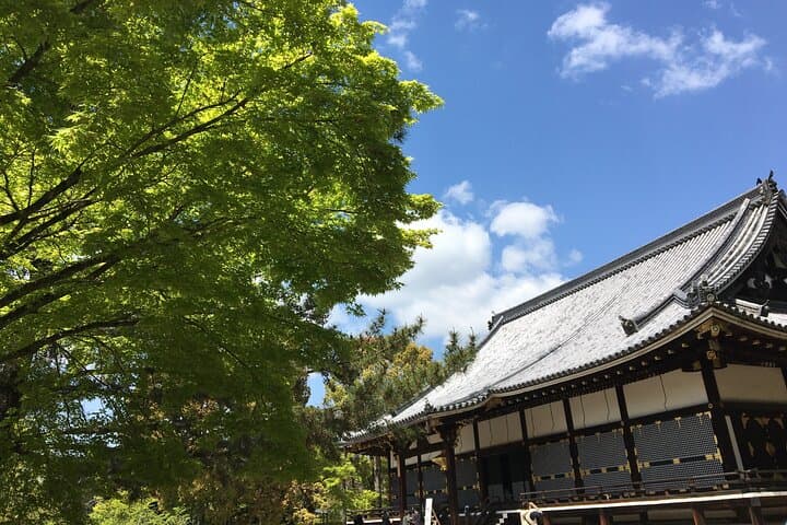 Private Kyoto Highlights Tour: Kinkakuji, Arashiyama & Fushimi Inari in Half-Day photo 6
