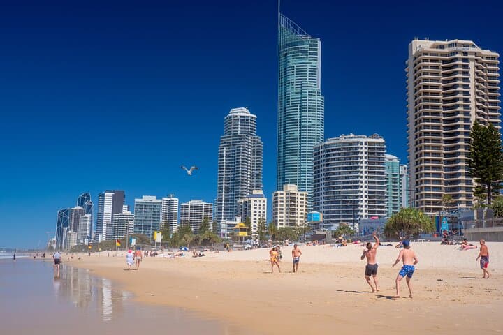 Gold Coast Day Trip: Koalas, Pies & Surfer's Paradise Private Tour from Brisbane
