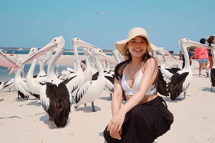 Gold Coast Day Trip: Koalas, Pies & Surfer's Paradise Private Tour from Brisbane photo 2