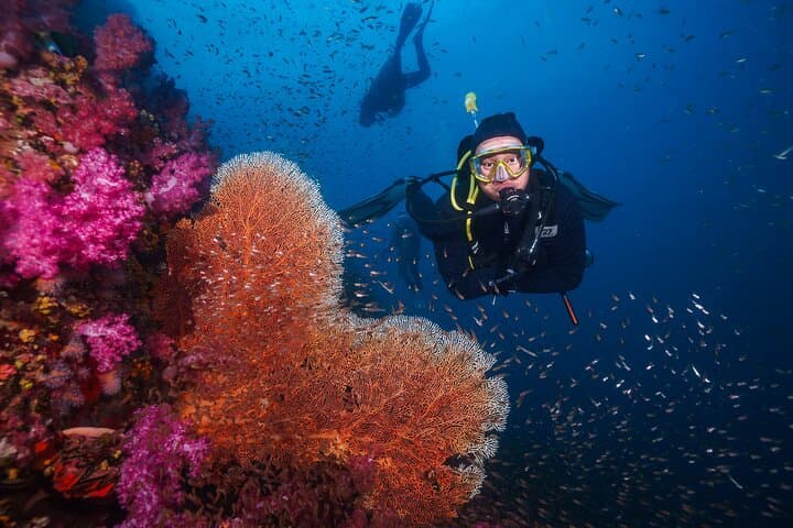Similan Islands 2-Day Scuba Liveaboard from Khao Lak — Night Dive & Sail Rock Viewpoint