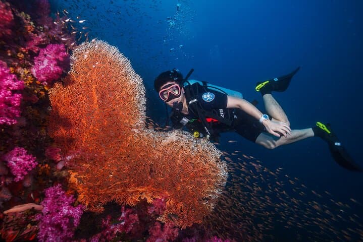 Similan Islands 2-Day Scuba Liveaboard from Khao Lak — Night Dive & Sail Rock Viewpoint photo 2